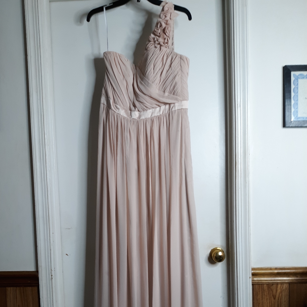 Nwt Dessy Collection Gown